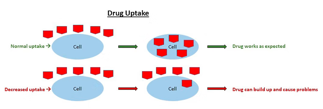 Drug Breakdown Illustration